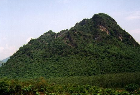 A mountain with trees in the background

Description automatically generated